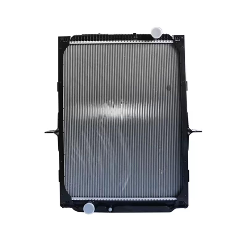 Cav Accessory Radiator DZ91125328