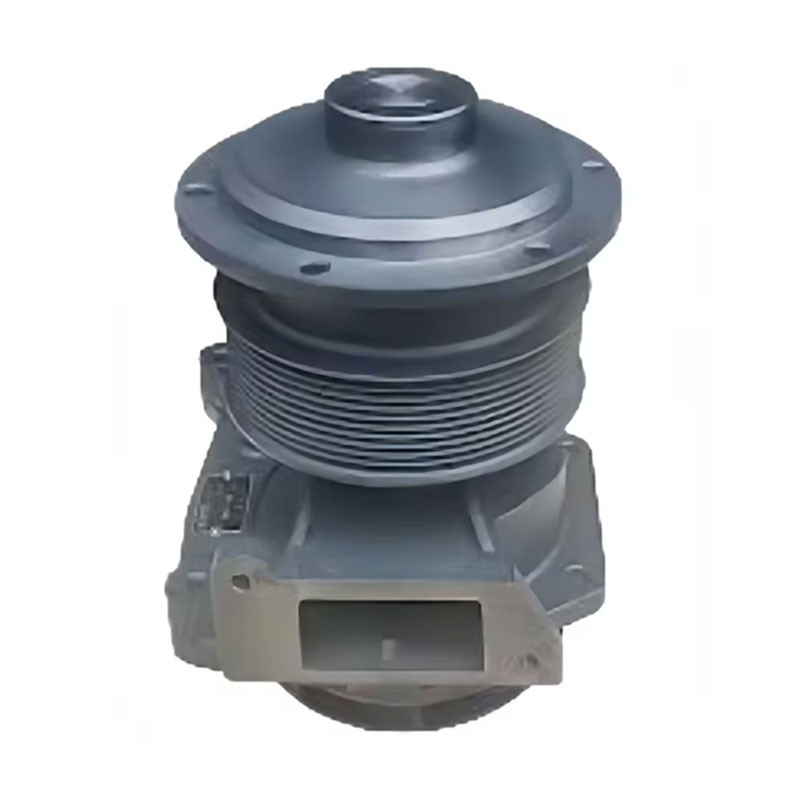 Tshiab Pump 612600061603