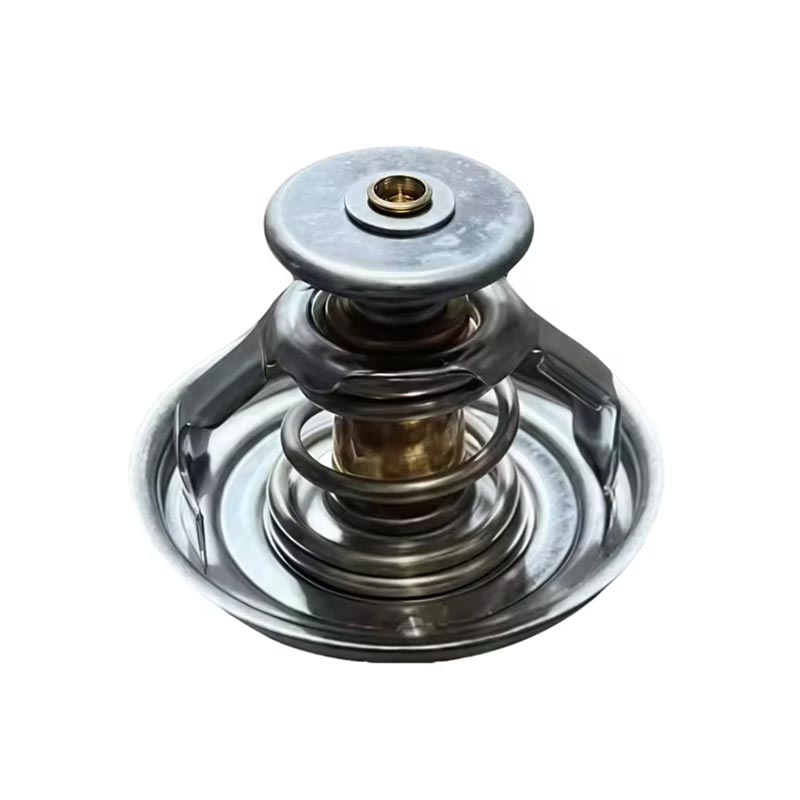 Truck Cav Thermostat 1000837830